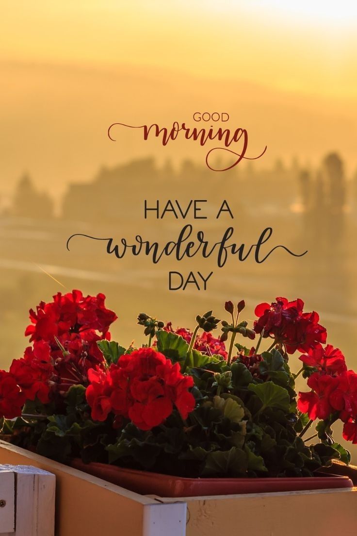 Good morning X friends 😘
