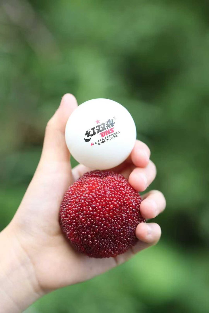 魔丸&amp;灵珠，超甜😋