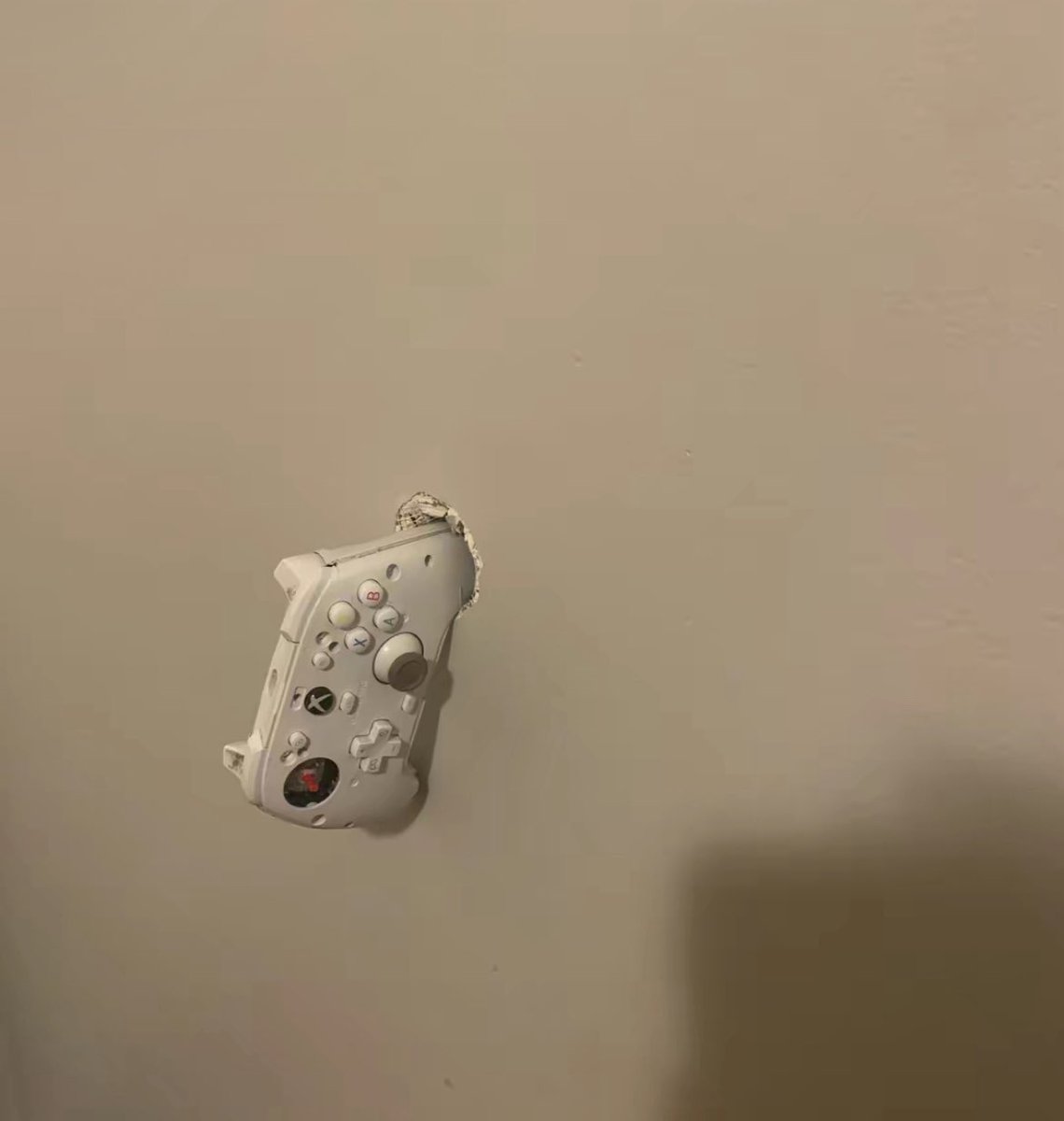 gem🍉 (@gemahtreeuhh) on Twitter photo 