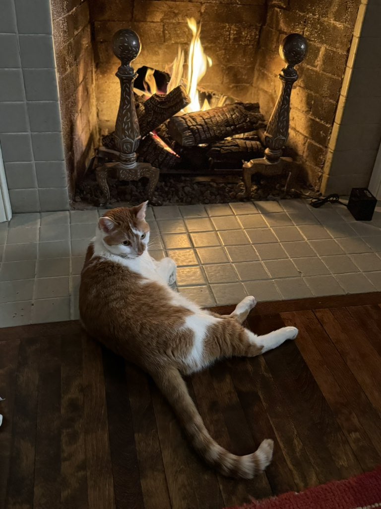 Honey Walz, Minnesota First Cat, Interim Catmander tweet media