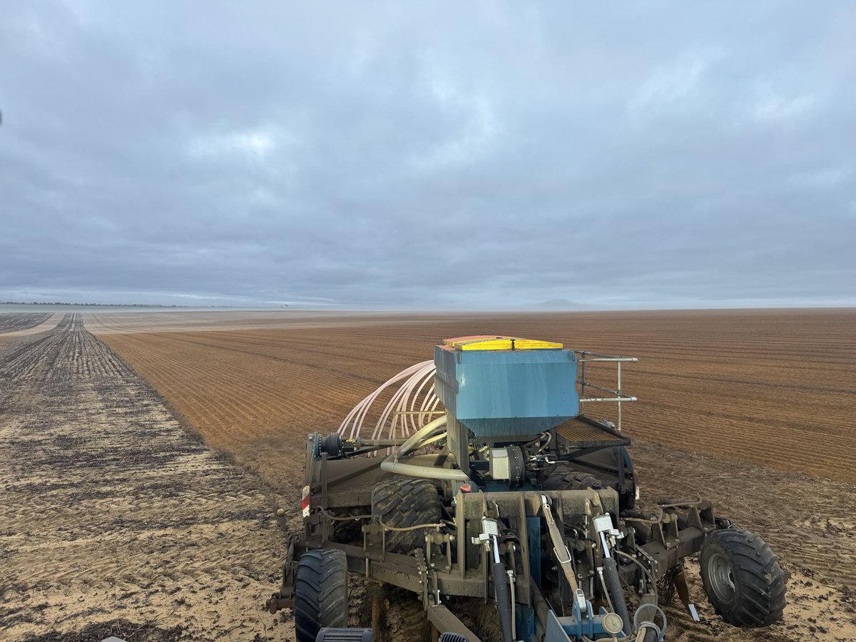 Getting on the tail end of the spading season. Bring on the moisture 🌧️