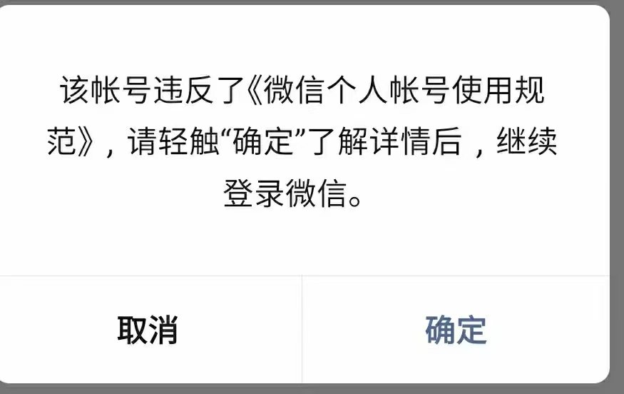 泛舟 tweet media