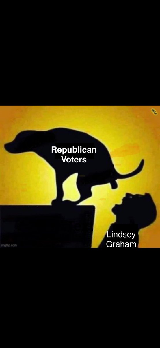 topitissolid's tweet photo. @LindseyGrahamSC https://t.co/t8mlqwTlMQ