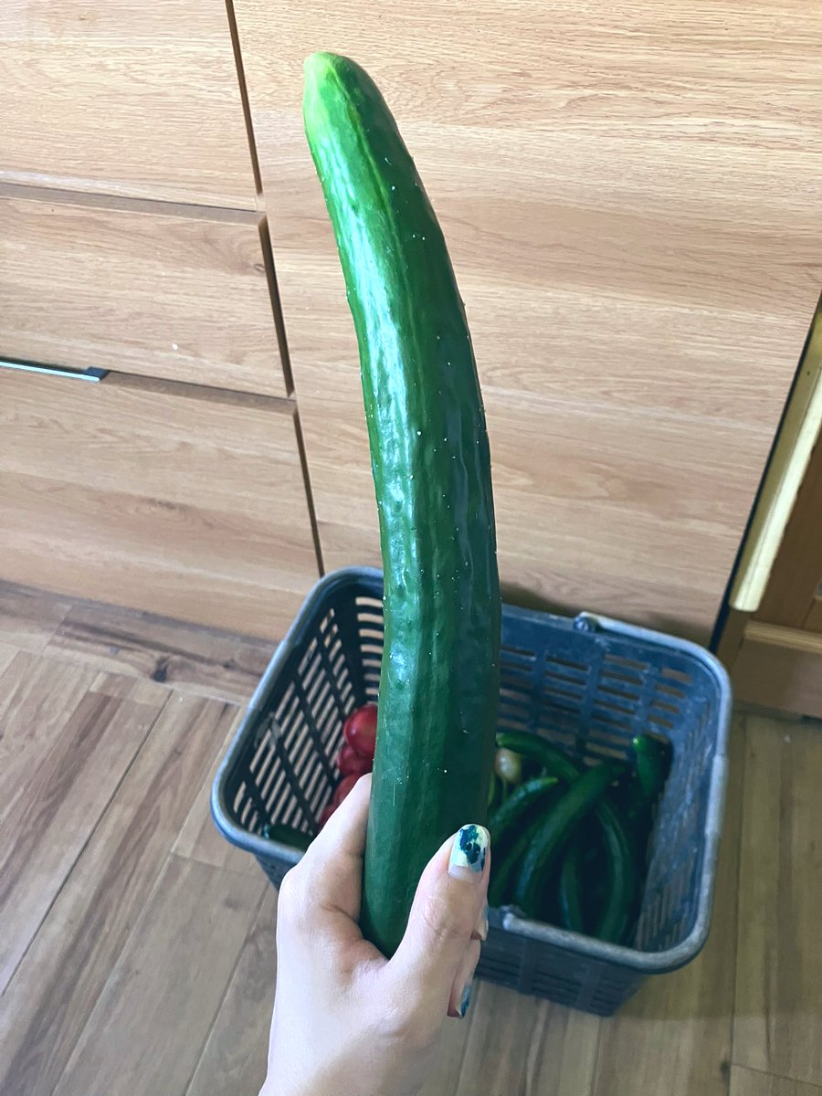 可愛くないな！！！！！