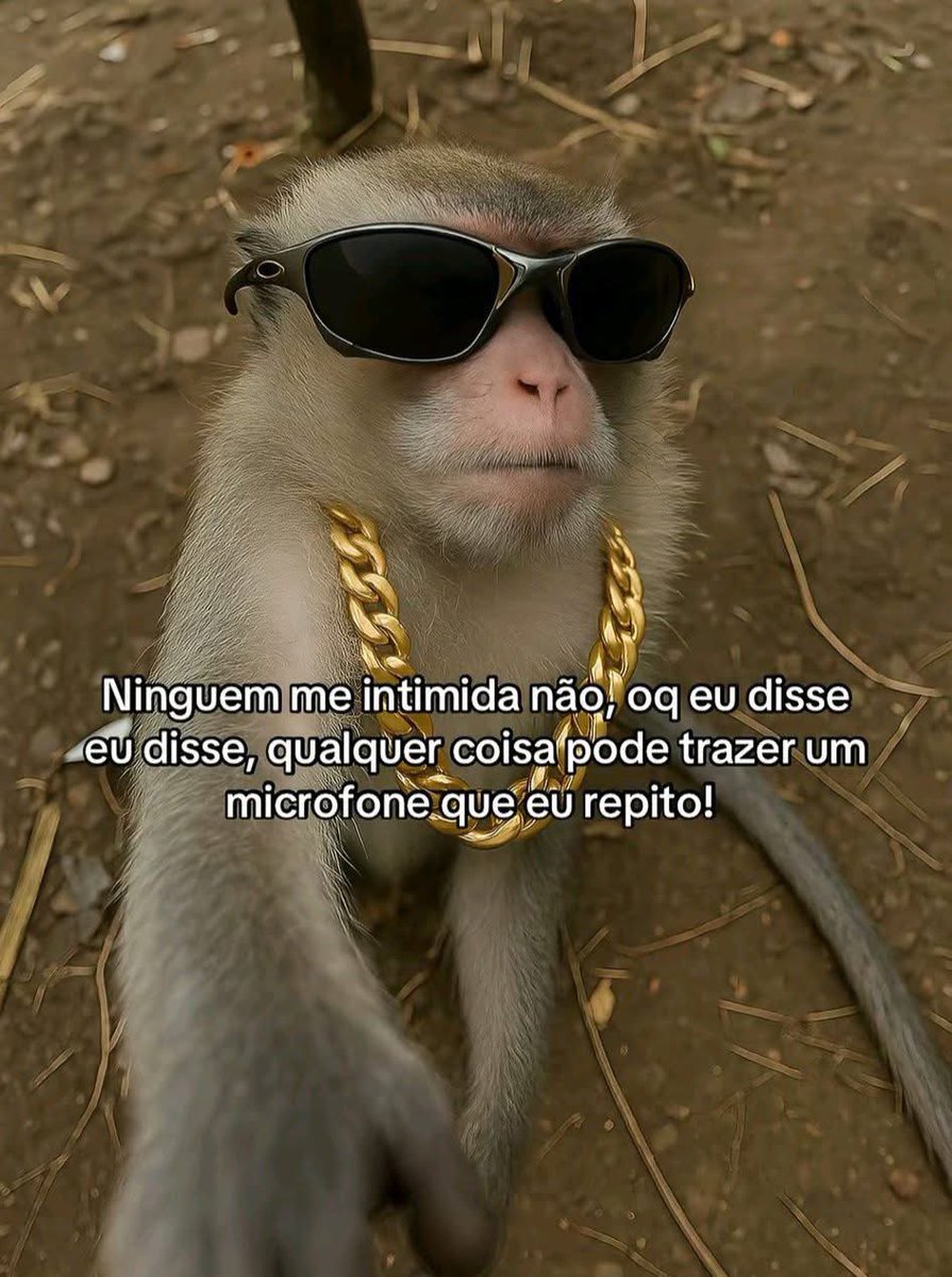Pagina lixo (@paginalixo1) on Twitter photo 