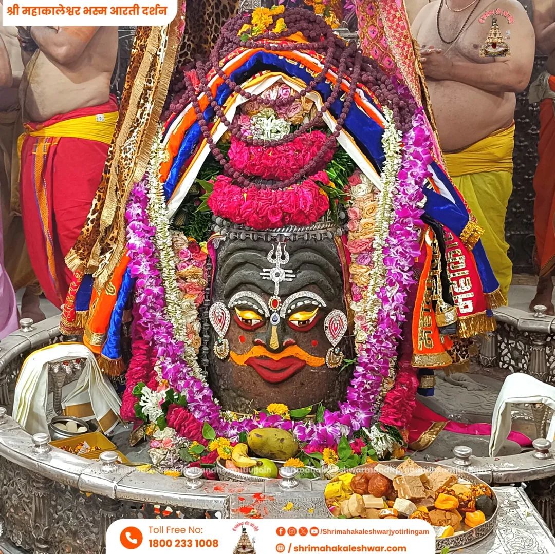 सुप्रभात 🌺