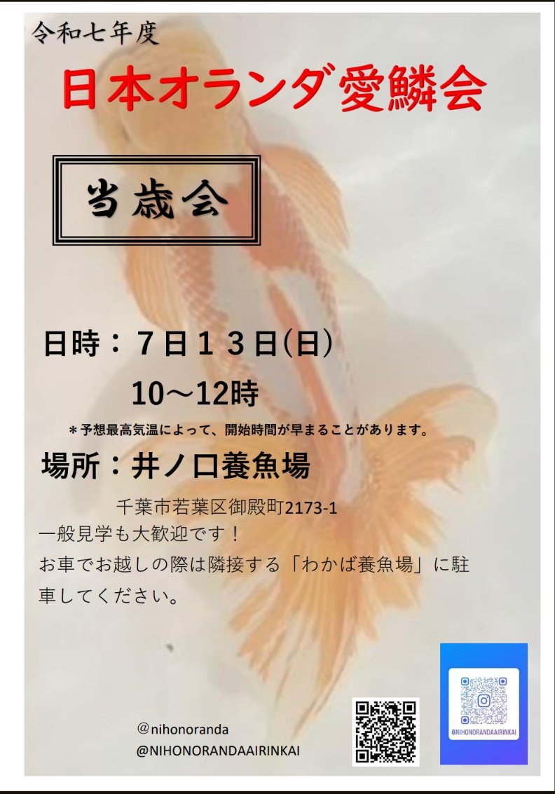 日本オランダ愛鱗会 tweet media