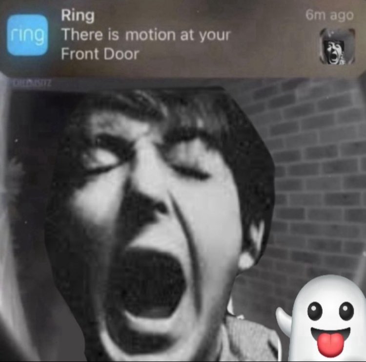 murmy oh bark🍍‼️ tweet media