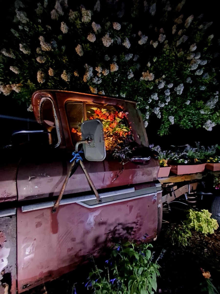 Night magic at the flower truck! #63c10 #yardart #classicchevy #unlimitedlawns <a href="/Proven_Winners/">Proven Winners</a> <a href="/Diesel1Trucks/">Diesel Trucks Iowa 🇺🇸</a> <a href="/IQuit_Cigs/">Smoking Let's End It</a> <a href="/nzcars360/">Love It Or Scrap It</a> <a href="/gardenandgun/">Garden & Gun</a>