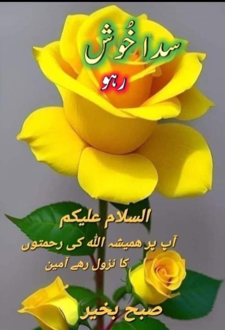 Y22NY's tweet photo. #P_PTi 
💎@NM1k_
💎@MNPTi1
💎@As_t40
💎 @Y22NY
@P_PTi4
@P_PTi3
@IAIJ_
@IAIJ1_
@553ik
@av_804
@TipuS1_
@4mir_8
@Dni_40
@Sprxzy2
@b_ngsh12
@pti__dimo
@zimal293
@zubm9231
@SKPTI804
@Noshii_786
@Teller_23360
@wlsyd149344
@CarloSportfan
@yasirkhan7845
@AZEEMVIRK30
@KamranA17555180 https://t.co/jMX7fxZAHJ
