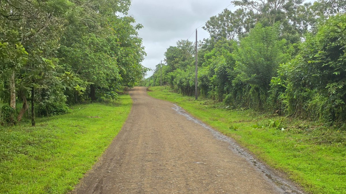 🚧 En saludo al 89 aniversario del natalicio del Comandante en Jefe de la Revolución, Carlos Fonseca Amador, y en homenaje a los Héroes de Junio Victorioso, se inauguraron 10 km de caminos y calles de macadán en la Colonia Río Rama 🛣️🇳🇮