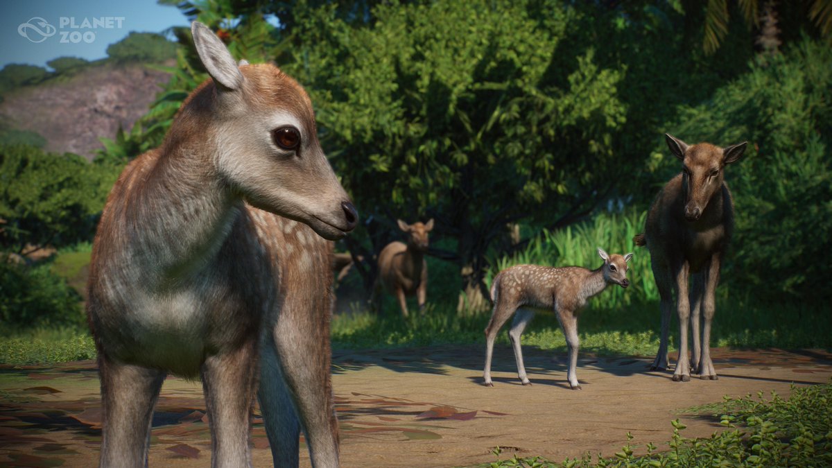 New animals coming to <a href="/PlanetZooGame/">Planet Zoo</a> in the new Asia Animal Pack! 🙌 🦋

Check out the announcement trailer and all the details here: 🔗youtu.be/Srl3W5W2Bjk