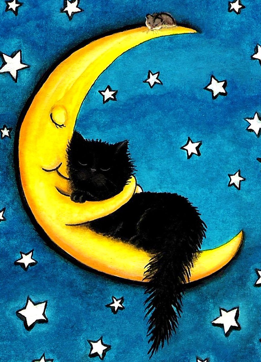 "Mad Cat" Cattis tweet media