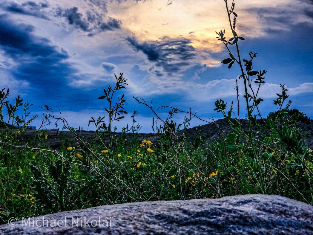 A storm is brewing in #yeg !  How exciting!!  I love storm season!!

#abstorm 
#StormHour 
#shareyourweather