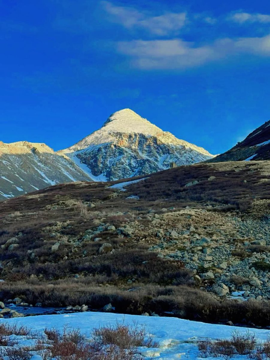 Нэгэн сайхан ө.өдрийн  мэнд! АМЖИЛТ