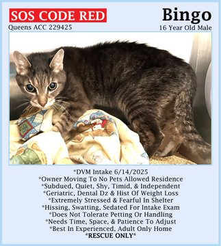 Peter Askin tweet media