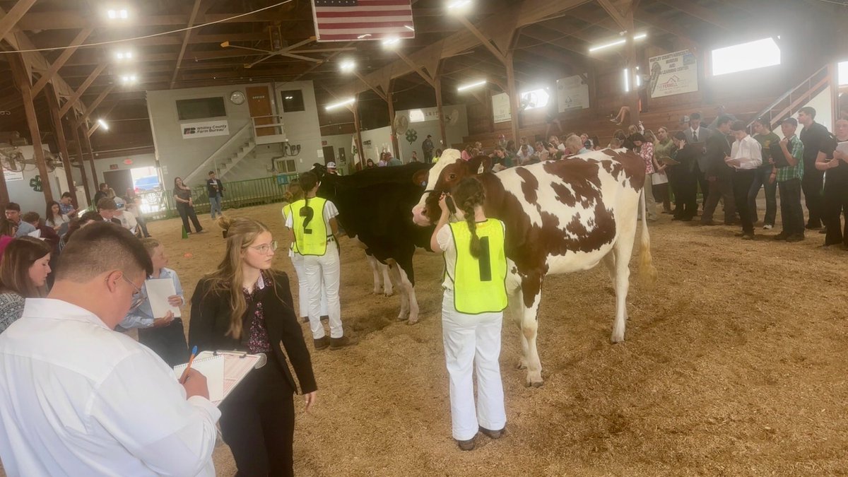 Indiana4h's tweet image. Last week, 4-H’ers and @IndianaFFA members competed in the state dairy cattle judging career development event. Great job, everyone! Learn more about all of our career development events at purdue.ag/4hcde