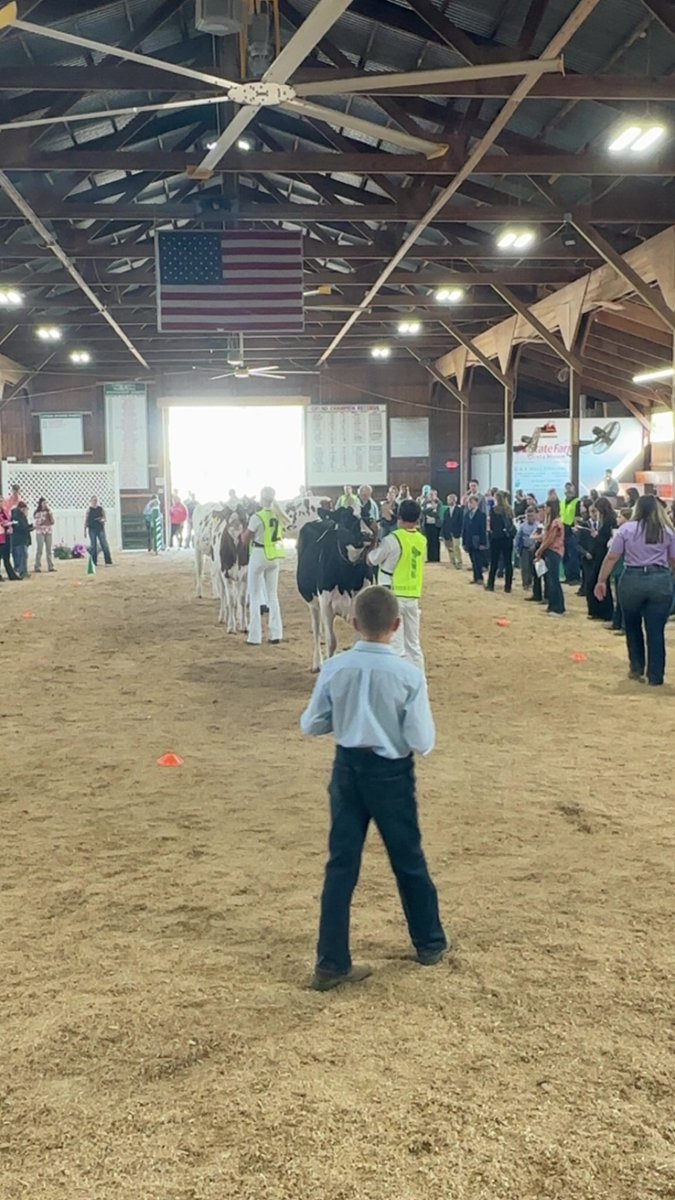 Indiana4h's tweet image. Last week, 4-H’ers and @IndianaFFA members competed in the state dairy cattle judging career development event. Great job, everyone! Learn more about all of our career development events at purdue.ag/4hcde