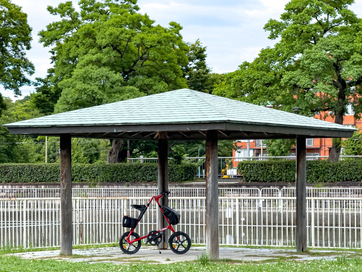 本日はAMP F1で出勤！！
けれども写真は没写真消化の為STRiDAで🤣
 
#おりたたぶ #STRiDA