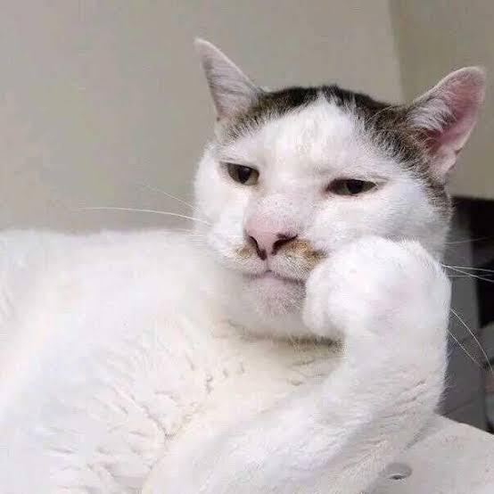 MrAir_3's tweet photo. @LaunchOnPump $CHILL + Just A Chill Cat https://t.co/Kfs0cHMWiB