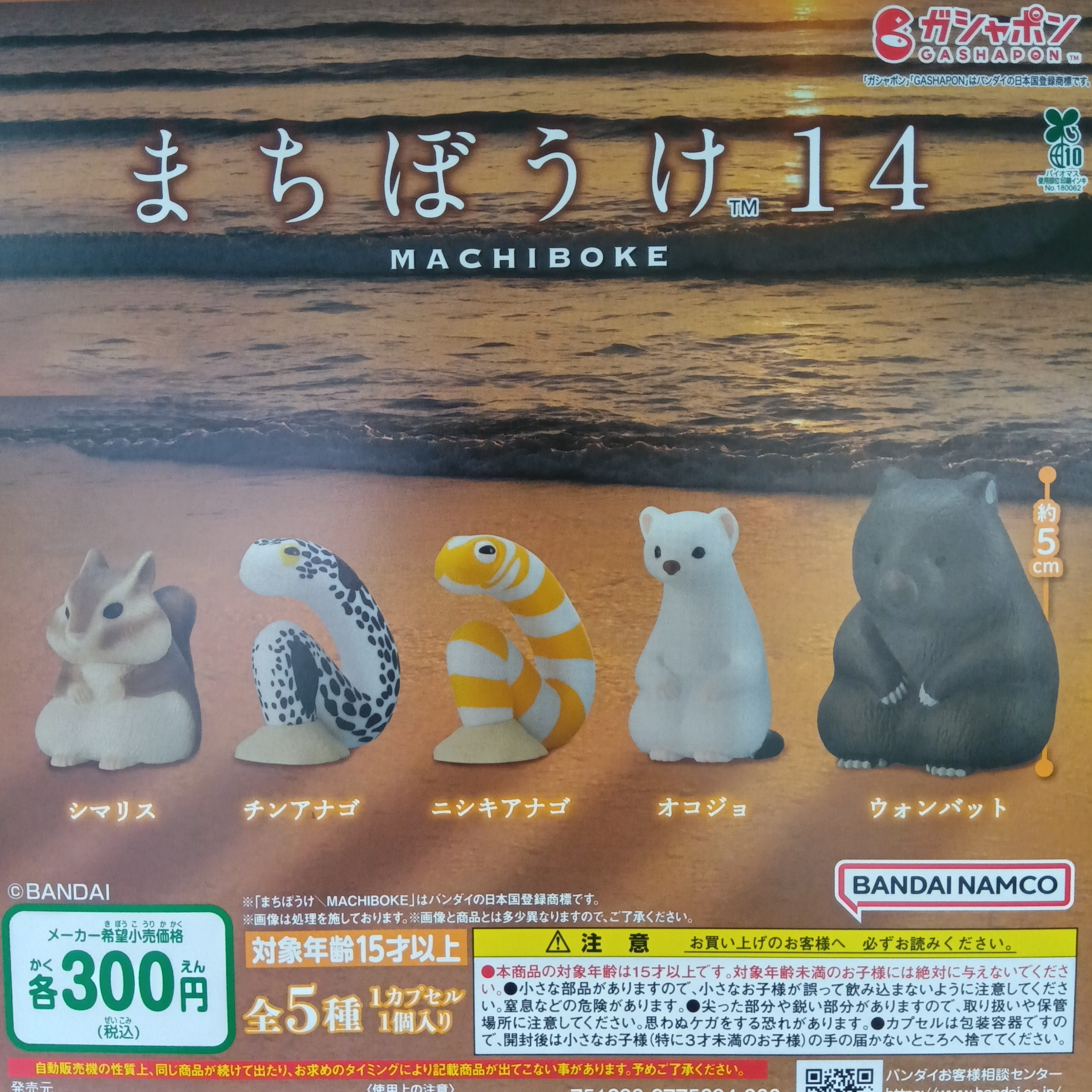 カプセル楽局谷中銀座商店街店 on X: 