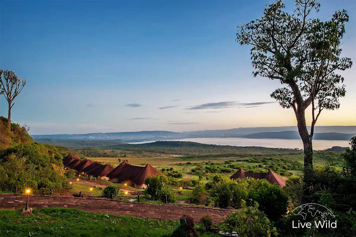hkarteek's tweet photo. they just sent me photos of the places we’ll stay at in Kenya and these are so fucking beautiful 🥹 we’ll be doing Masai Mara, Amboseli, Lake Naivasha, and Nakuru. 
I’ve got 5 slots open! really want to make this happen. pls dm or share w someone who’d love to go