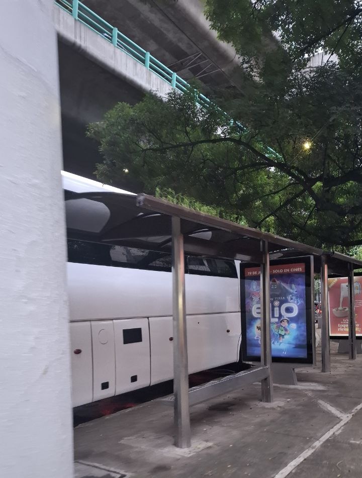 r2boy's tweet photo. @BJAlcaldia @Alcaldia_BJ Hay les encargamos los vecinos y negocios ya están hasta cuello meses y siguen no dejan parar al trasporte y la gente se baja estoes en Av San Antonio pasando Revolución frente al SORIANA, que quede libre las paradas de Bus https://t.co/yFVfddvzae