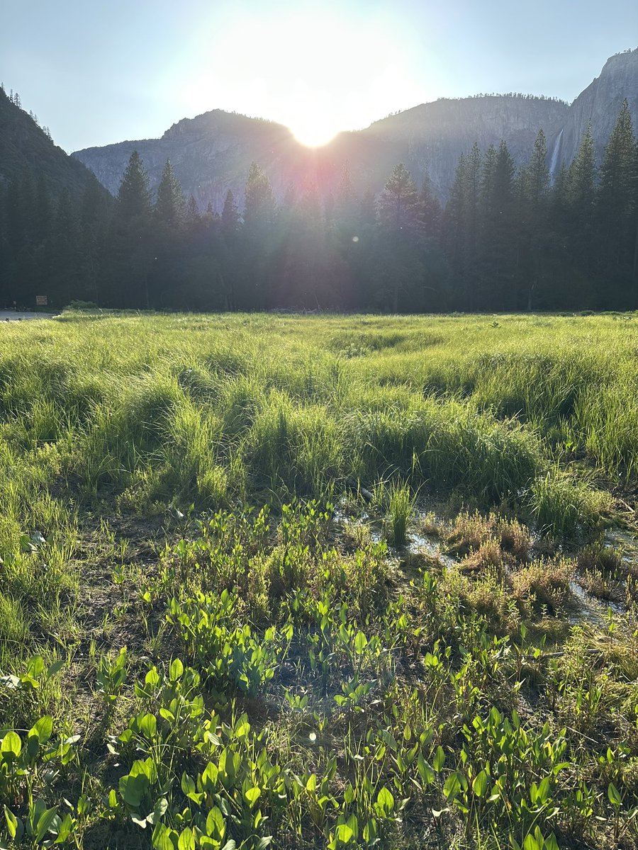 You can cut the national and global tension with a knife. I’m sick of the manufactured insanity. This is my antidote. California is worth saving.