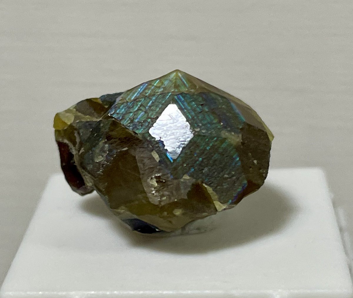 stellar_chaton's tweet image. 久々に撮りたくなったメキシコソノラのレインボーガーネット
難しい…実物の魅力の10分の1も引き出せていない…