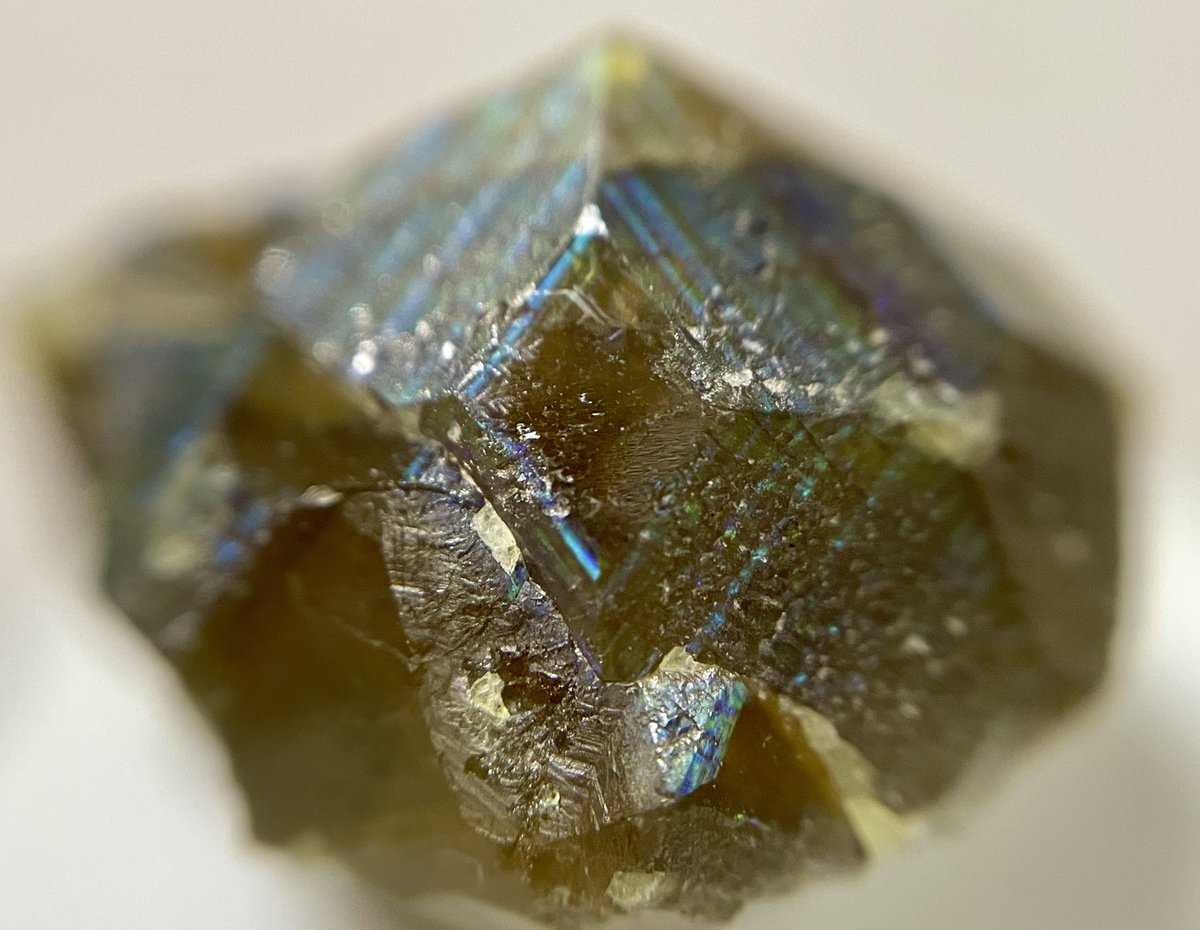 stellar_chaton's tweet image. 久々に撮りたくなったメキシコソノラのレインボーガーネット
難しい…実物の魅力の10分の1も引き出せていない…