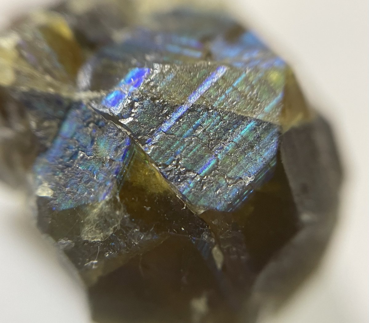 stellar_chaton's tweet image. 久々に撮りたくなったメキシコソノラのレインボーガーネット
難しい…実物の魅力の10分の1も引き出せていない…