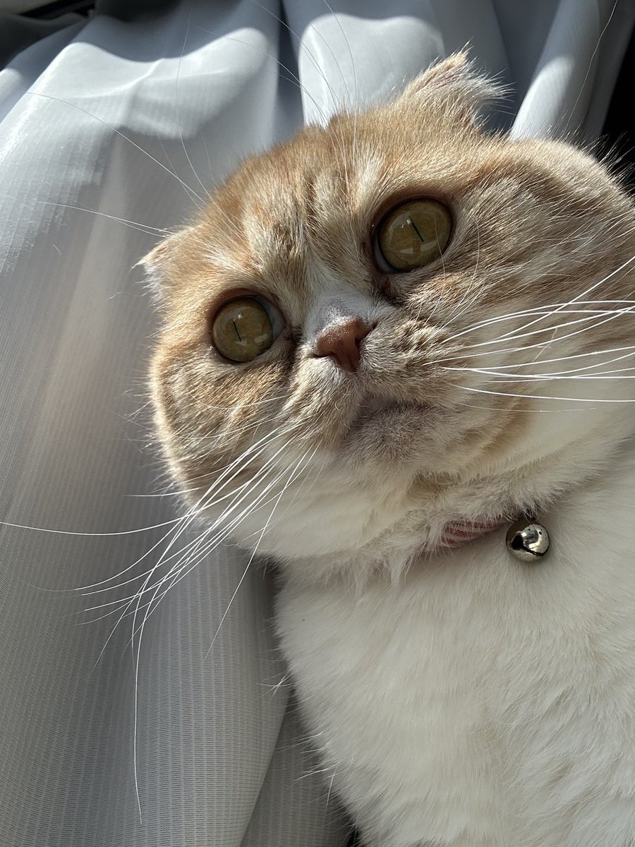 本日新台入替
13時すぎ位に新台開放します💪
スマスロ増台につきレイアウトが変わりました☝️

👦🏻スマスロはメーカー別にまとめました
👦🏻ジャグラーなどのAタイプはカウンター側に移動してます

本日も宜しくお願いします🙇
#エール上飯田店 
#新台入替 
#としまさ店長