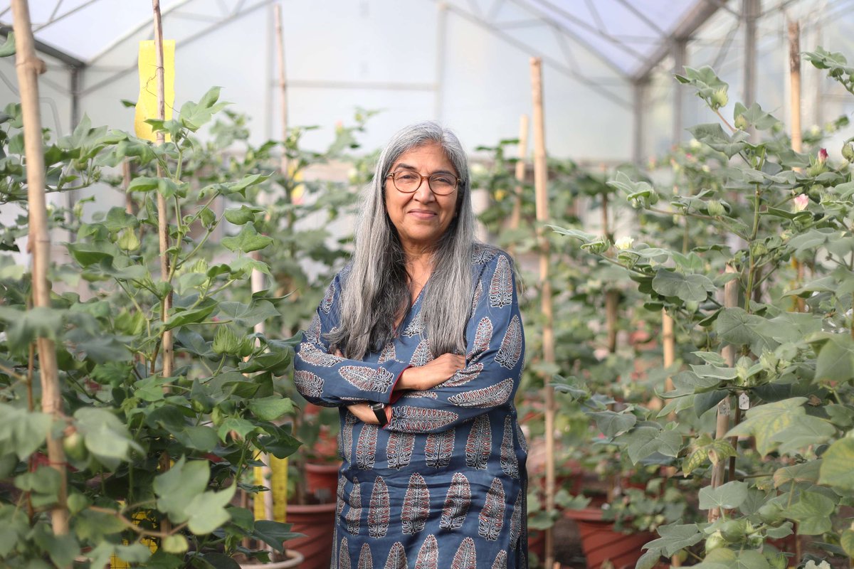 WBG_AgriFood's tweet photo. From Maharashtra to Malawi: Indian seed innovation is transforming African farms. With hybrid seeds from Mahyco, farmers like Gladys Clement are doubling yields &amp; cutting pesticide use. 

🔗 https://t.co/dQtxr8znZm
#IFCagriculture #BlendedFinance #GAFSP @WorlBankIndia https://t.co/XdPT4ryC5u