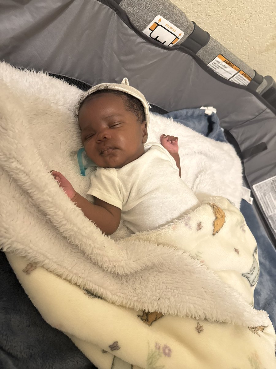 ShawdShep's tweet photo. Chocolate baby😍🖤 BabyBoy https://t.co/qT2l9Yqd8n