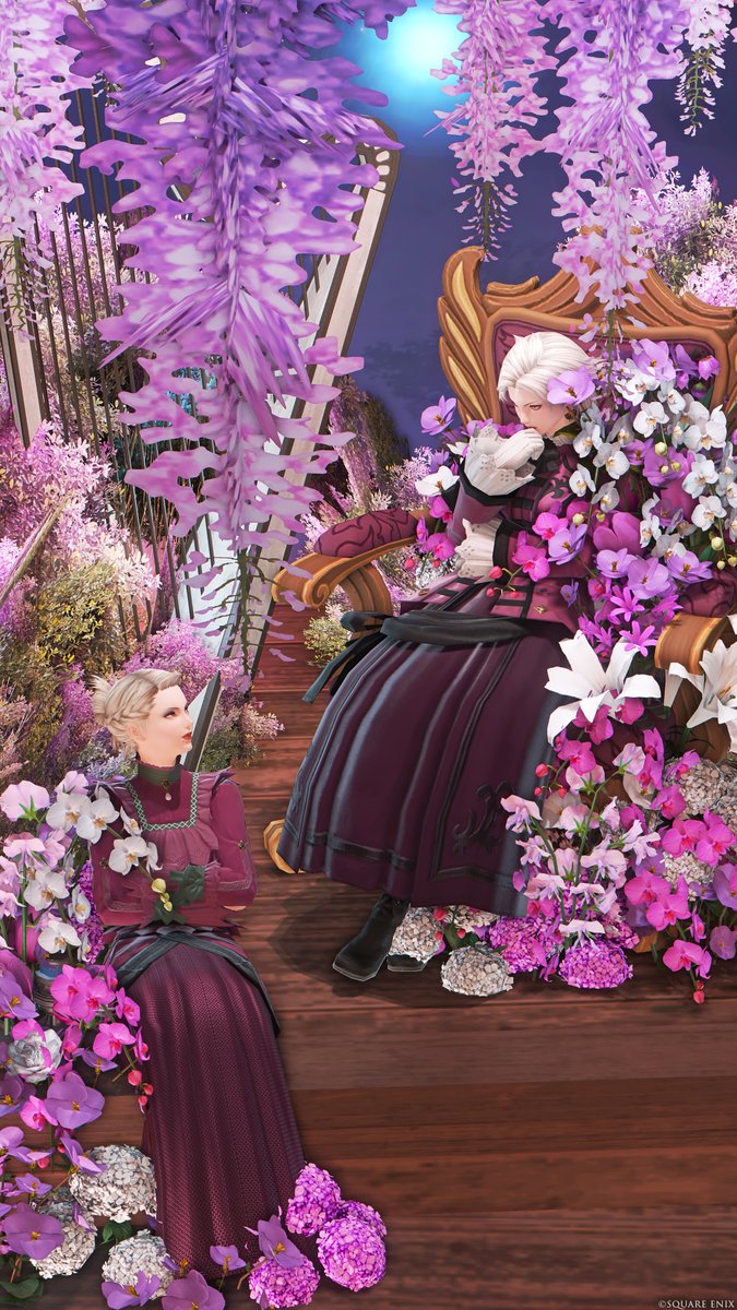 #本日のミドラン #ミドラン #eligoya