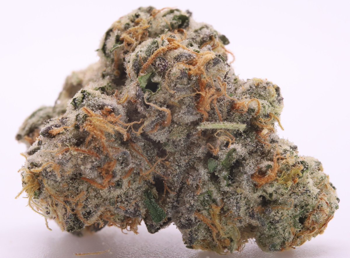 VelvetfogCo's tweet photo. Discover Novato’s first locally owned cannabis dispensary—expert guidance, great local deals, and fast delivery throughout Marin County https://t.co/89bnPmBuBZ