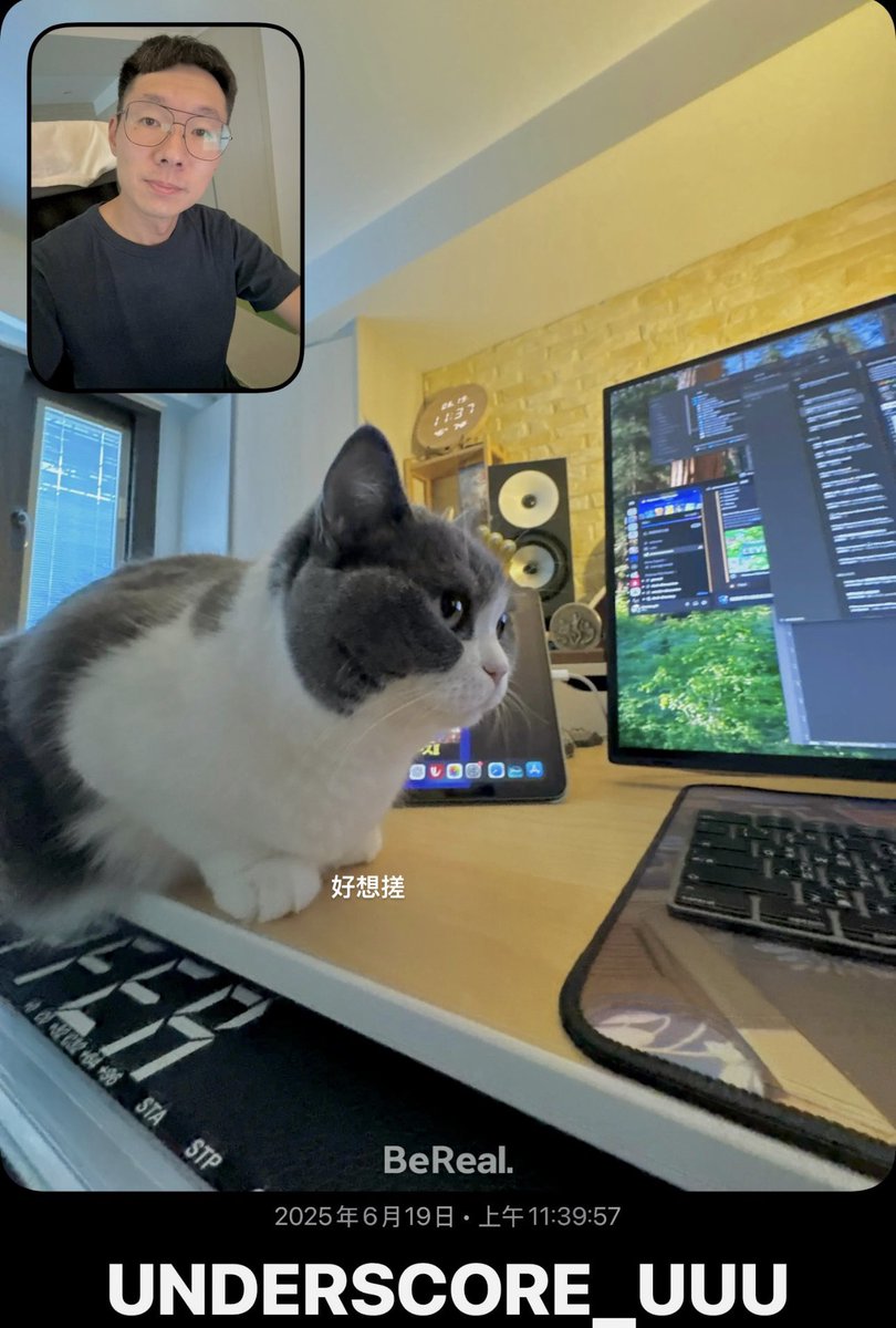 Resuming work. #MusicDaily #Compose #Music #Producer #SoundDesigner #GameComposer #gamemusic #gameaudio #unclearranger #cat #cats #BritishShorthair #British #Shorthair