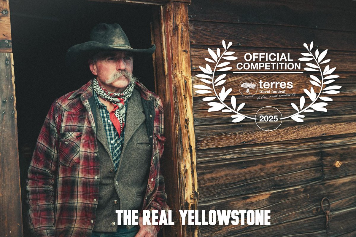 Tom Opre tweet media