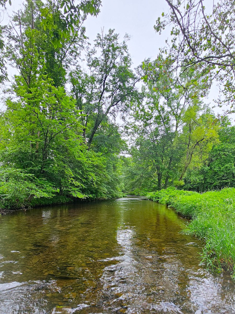 HectorCantres's tweet image. Yesterday in the stream. 

#Spring #SpringVibes #FunOutside #nature #OptOutside #InNature #FunOutdoors #OutdoorFun #OutdoorPlay #outdoors #outside