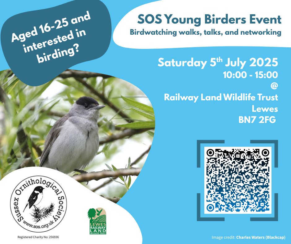 Sussex Ornithology (@sussexornitholo) on Twitter photo SOS is running a free social and networking event for young birders aged 16-25 on 5 July at the Linklater Pavilion, Railway Land Wildlife Trust, Lewes BN7 2FG
Scan the QR code for tickets.
Hear from The Young Birder scheme leaders <a href="/MyaBambrick1/">Mya Bambrick</a> & <a href="/hello_jaytee/">Jack Thompson</a> SOS is running a free social and networking event for young birders aged 16-25 on 5 July at the Linklater Pavilion, Railway Land Wildlife Trust, Lewes BN7 2FG
Scan the QR code for tickets.
Hear from The Young Birder scheme leaders <a href="/MyaBambrick1/">Mya Bambrick</a> & <a href="/hello_jaytee/">Jack Thompson</a>