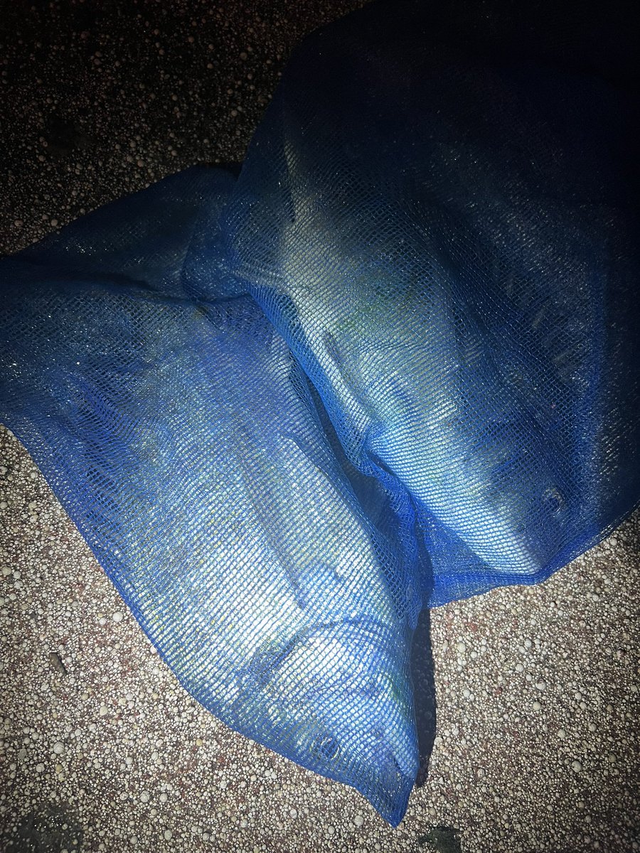 バンバン (@New86617567) / Posts / X