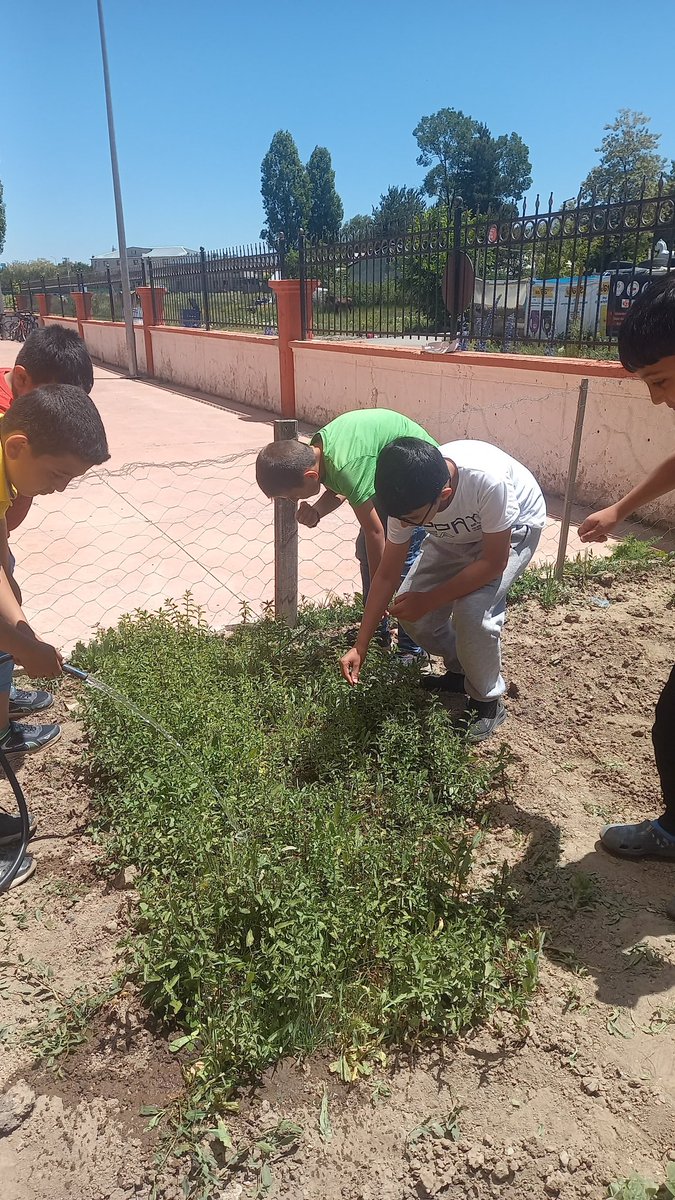 Minik üyelerimizle hobi bahçemizin düzenlemesini yaptık.