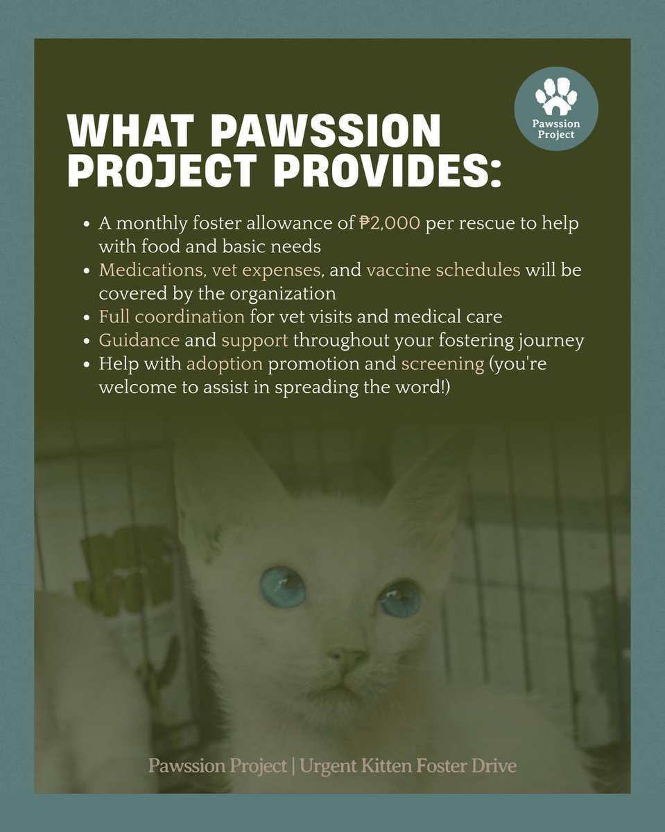 pawssionproject's tweet photo. If you’ve ever considered opening your home, this is when it matters most. You’re not adopting, just fostering short-term. But the impact? Life-changing.

You don’t need to be perfect. 
You just need to care.

One space, one foster = one life saved. 🧵 https://t.co/ehnOFJNab0