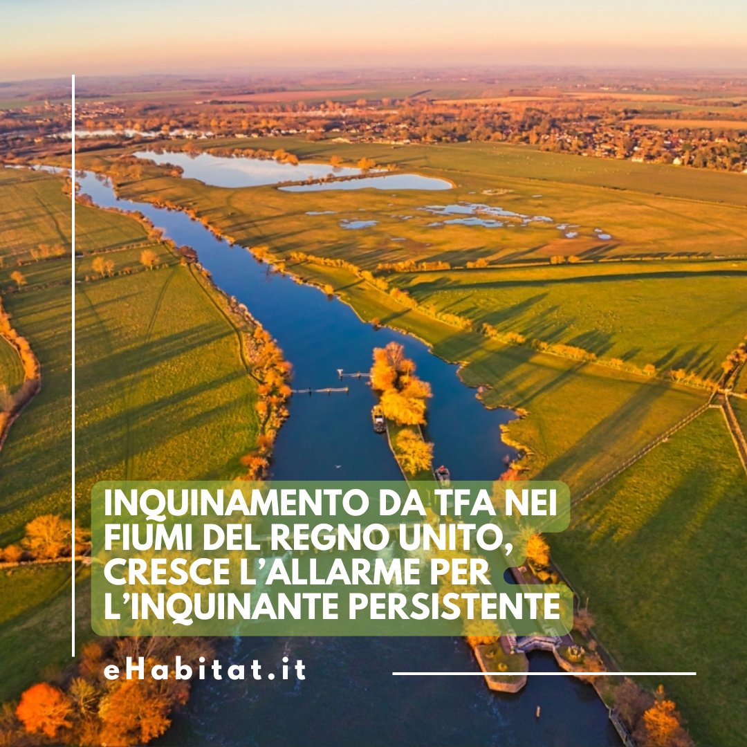 Inquinamento da TFA nei fiumi del Regno Unito, cresce l’allarme per l’inquinante persistente.

💧 Leggi l'articolo:

ehabitat.it/2025/06/19/inq…

<a href="/FidraTweets/">Fidra</a> #Inquinamento #PFAS #TFA #AcquaPulita #ForeverChemicals #UKEnvironment #Sostenibilità #fiumi #RegnoUnito #salute #ambiente