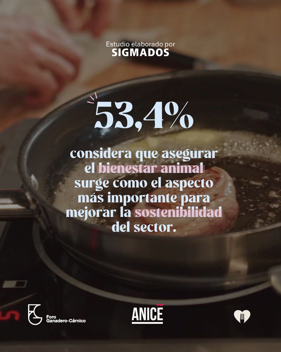 ANICE_ES's tweet photo. 🐄 #datodeldía ✨ 9 de cada 10 españoles espera que las administraciones impulsen la competitividad del sector ganadero y más de la mitad señala el bienestar animal como clave para una ganadería sostenible.
#CarneYSalud #BienestarAnimal #Sostenibilidad#CompromisoRural #SigmaDos https://t.co/QqMdYD538z