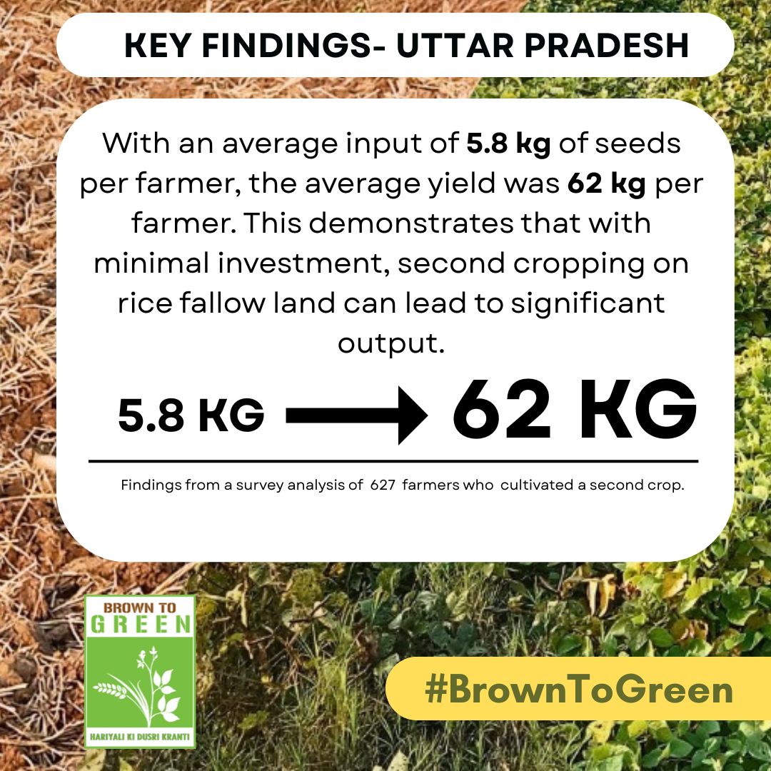 NccmUP23's tweet photo. #BrownToGreen – Hariyali Ki Dusri Kranti Our #SecondCropping intervention showed powerful results on rice fallow lands. Let’s scale this success nationwide! Urge @AgriGoI to support second cropping for a #ViksitBharat. #ZeroIrrigation #RiceFallowManagement https://t.co/Ie6PnTanFz