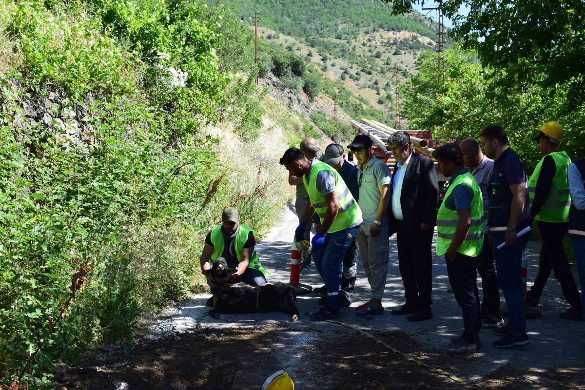 evrenozdemir29's tweet photo. II. Etap Doğalgaz çalışmalarına bugün itibariyle bismillah diyerek başladık. 🙂

Yüklenici firma ve AKSA yetkililerimizle birlikte II. etap proje sahasındaki çalışmaları yerinde takip ediyoruz.

İlçemize hayırlı olsun. https://t.co/QRm0s2yHhY