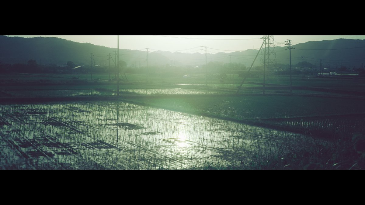 ひなた (@ph_hinata) on Twitter photo 