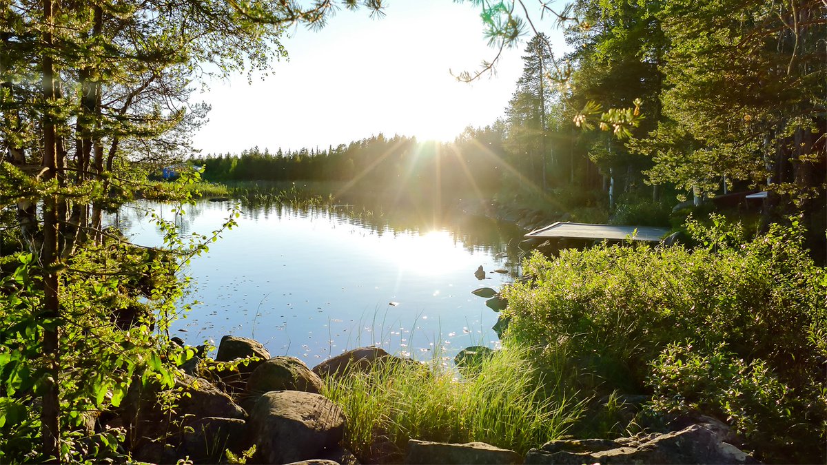 🌞✨ Happy Midsummer! ✨🌞

Wishing everyone who celebrates it a joyful Midsummer with sunshine and laughter. Whether you're warming the sauna and cooling off in the lake, enjoying a bonfire or simply soaking up the longest day of the year, have fun with friends and loved ones.