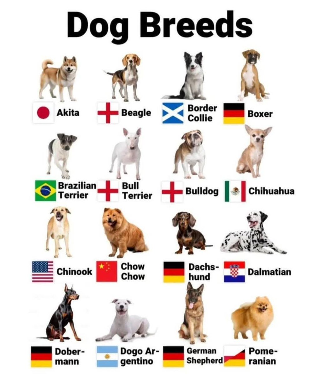 Aamir Munawar (@aamir3983) on Twitter photo 